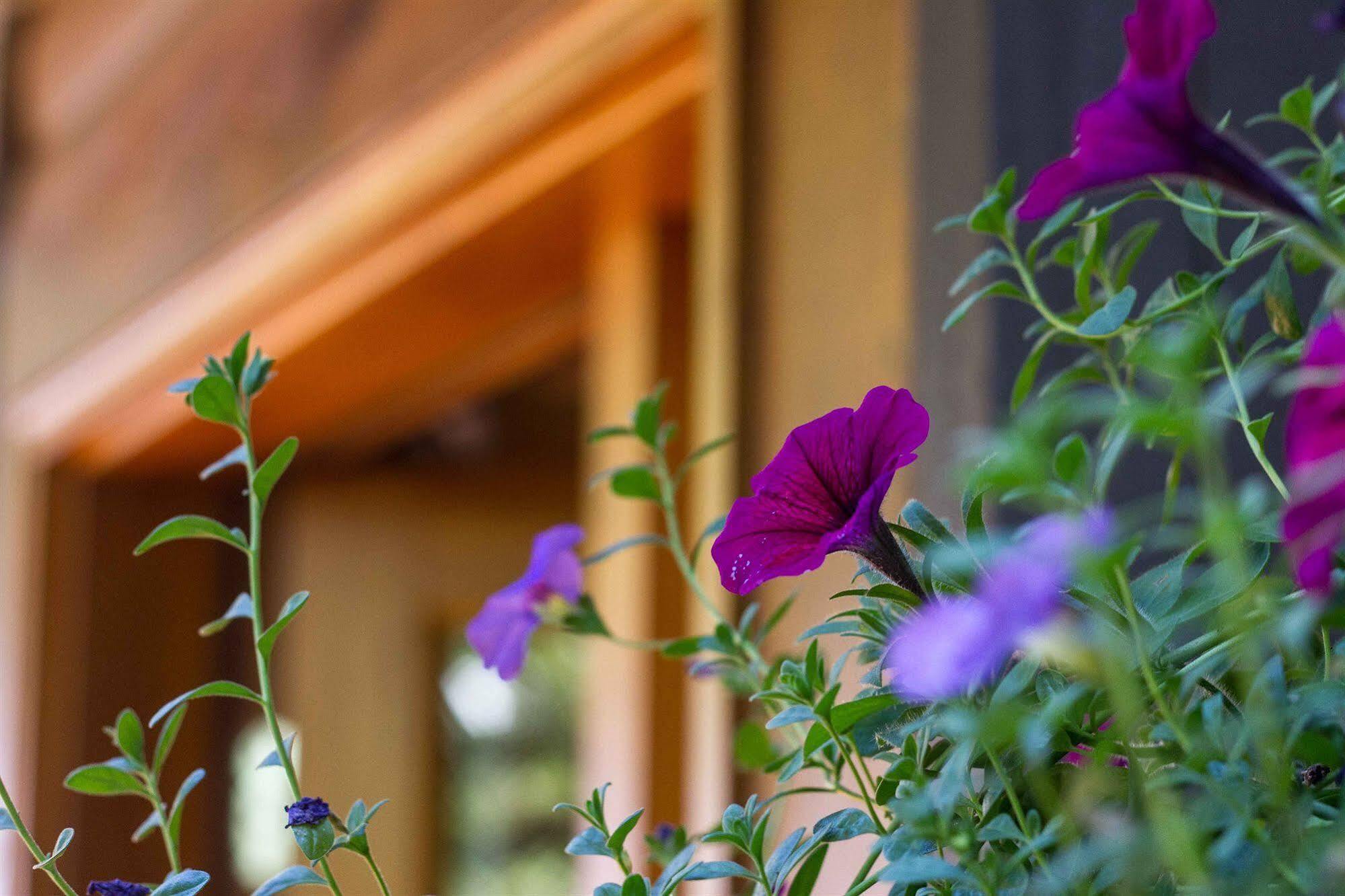 Tranquility Bay Waterfront Inn Sechelt Exteriér fotografie